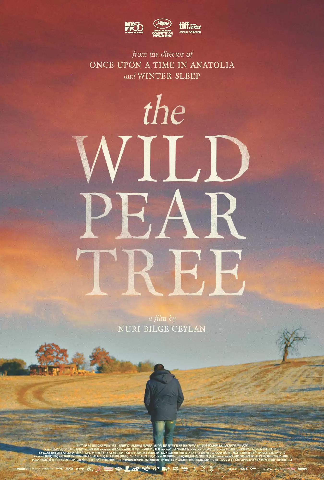 Cây Lê Dại | The Wild Pear Tree (2018)