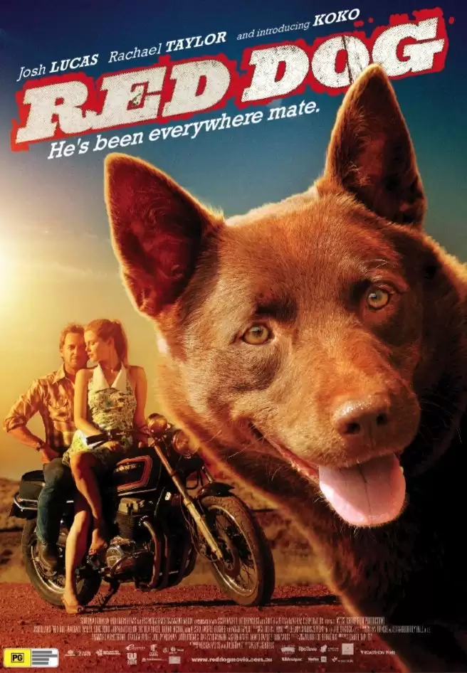 Chú Chó Trung Thành | Red Dog (2012)