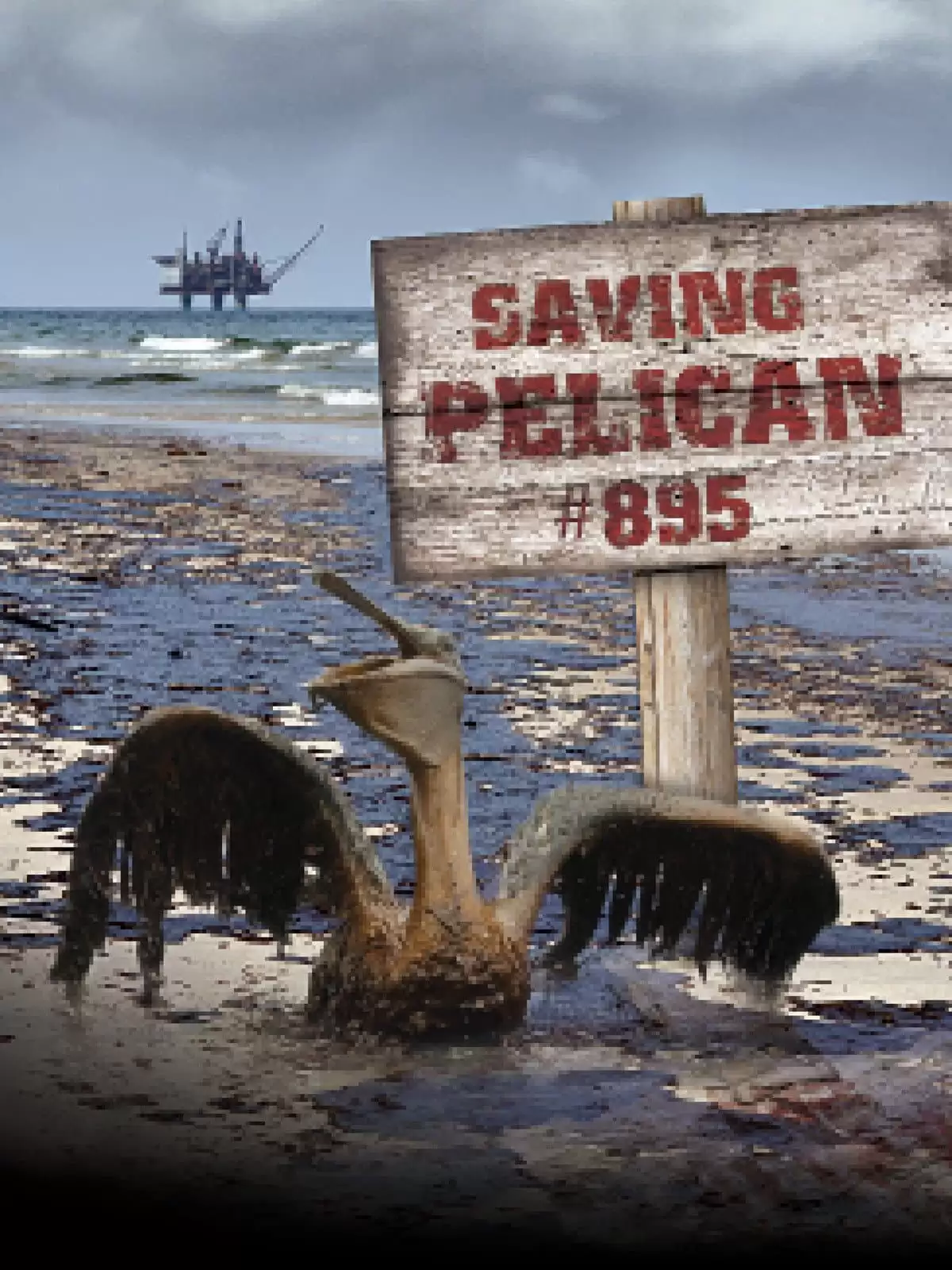 Giải Cứu Chú Bồ Nông Thứ 895 | Saving Pelican 895 (2011)