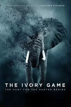 Kẻ Trộm Ngà Voi | The Ivory Game (2016)